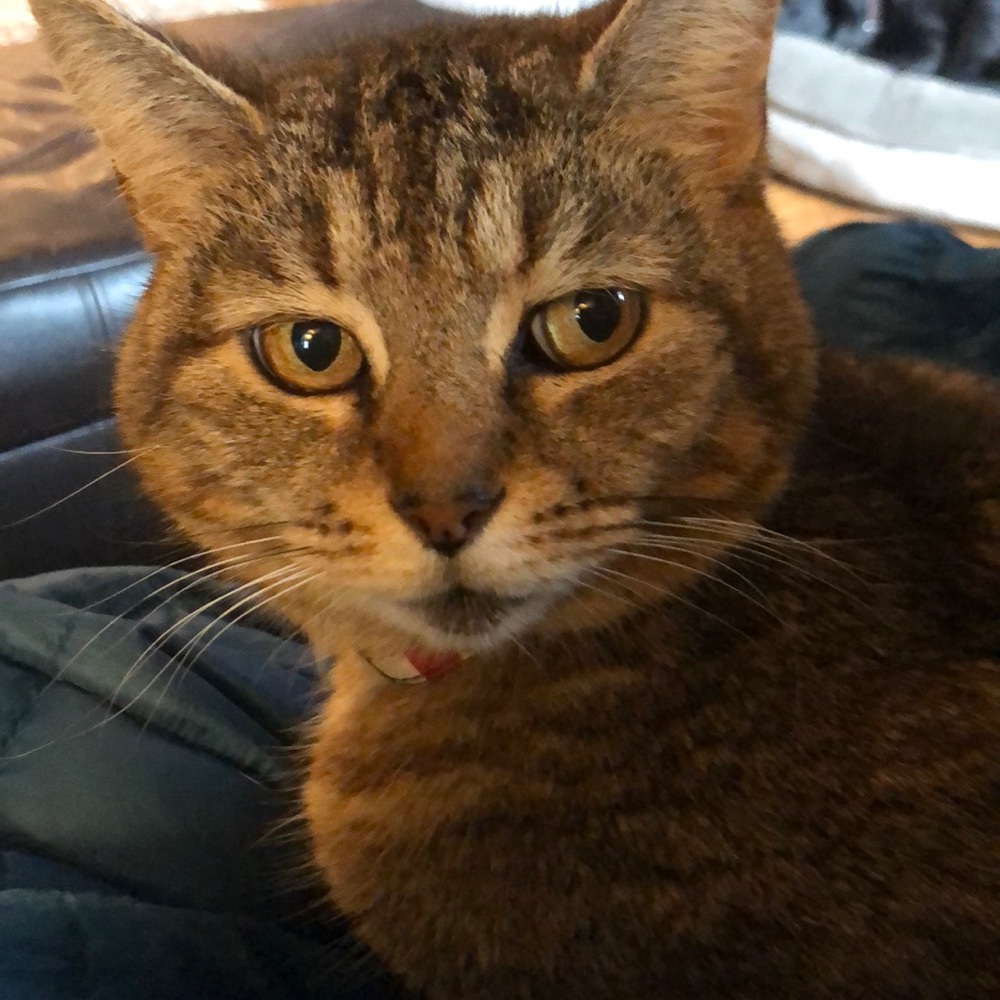 Meet your Posher, Katherine